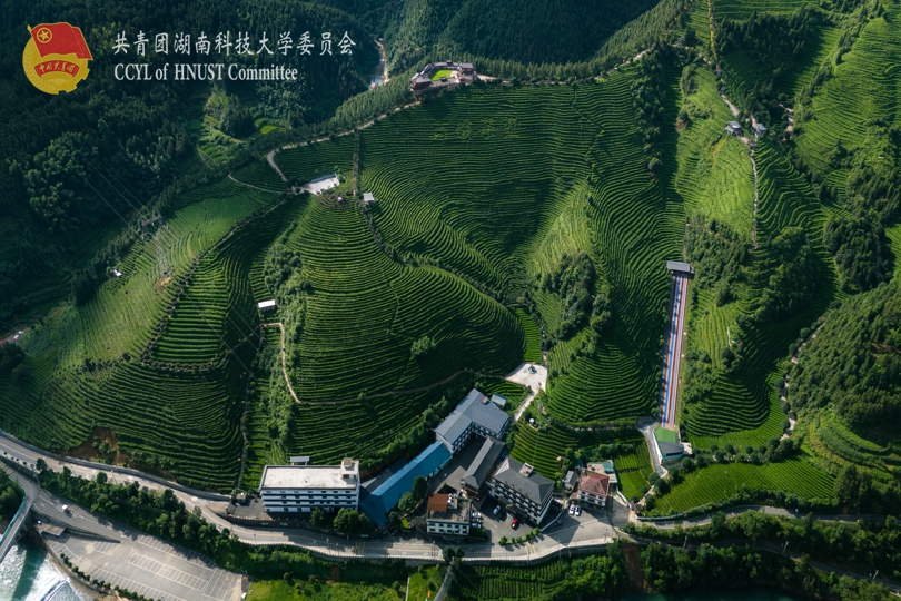 茶园航拍全景.jpg