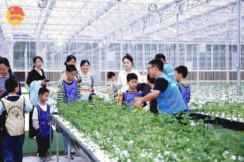 99120544784b4b82922bed1f69bedebf.png 图片5.png