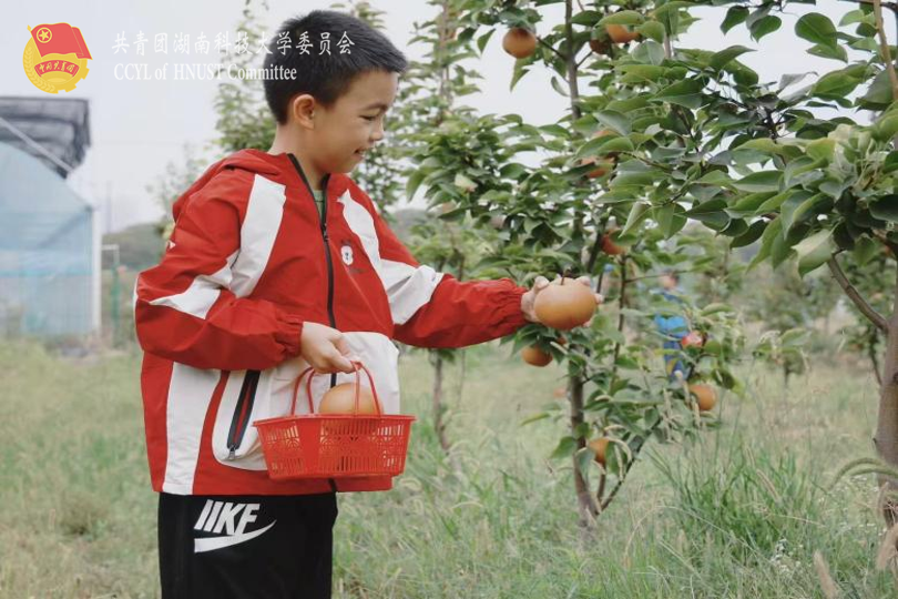 a3738a6e50c44a5c96fc41353de70da7.png 图片4.png