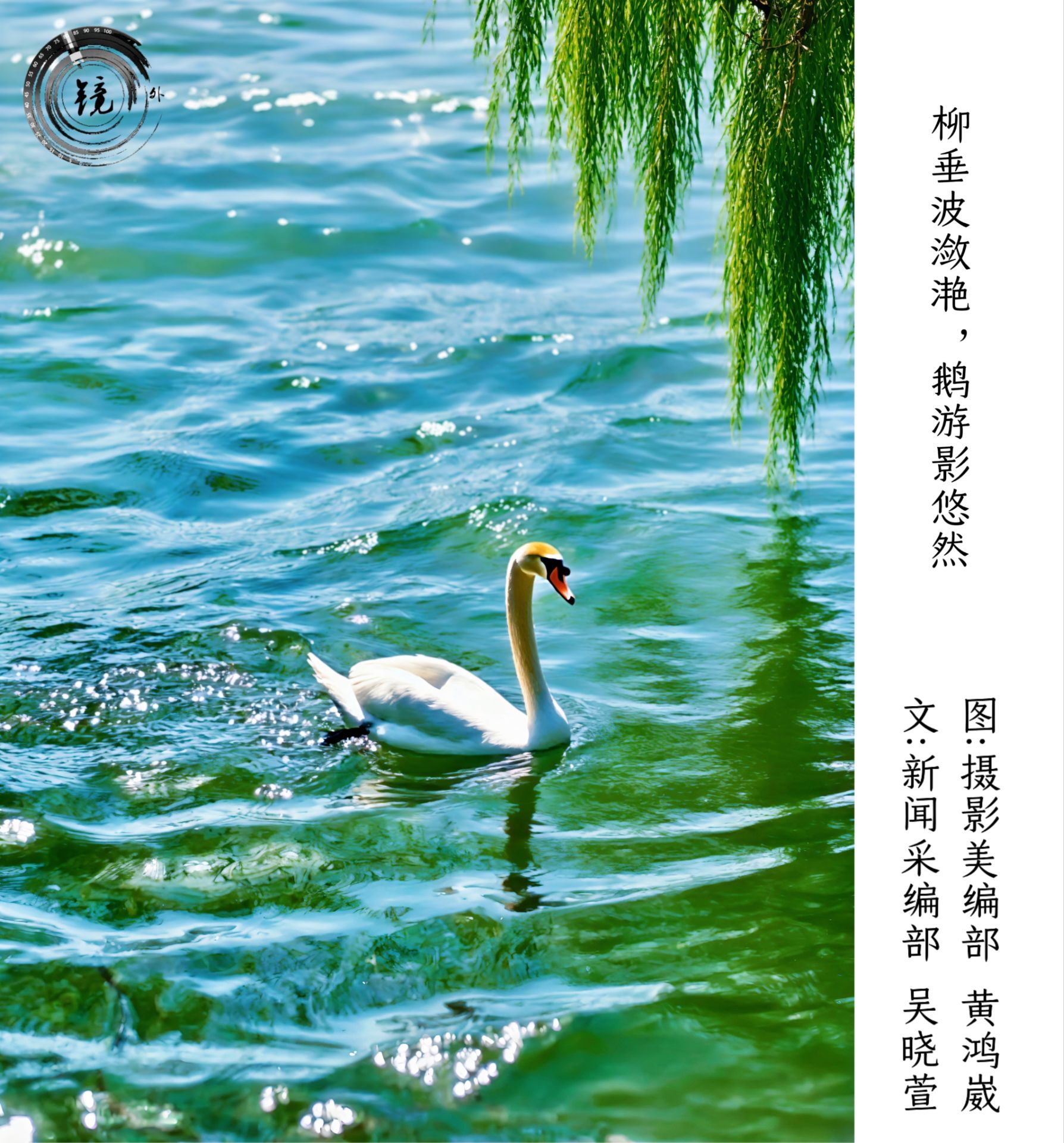 Image_1757077375042.jpg