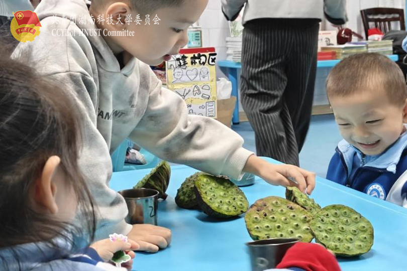 060077c67ddd4ee793abeefebf57bb6b.png 小朋友们观察莲蓬.png