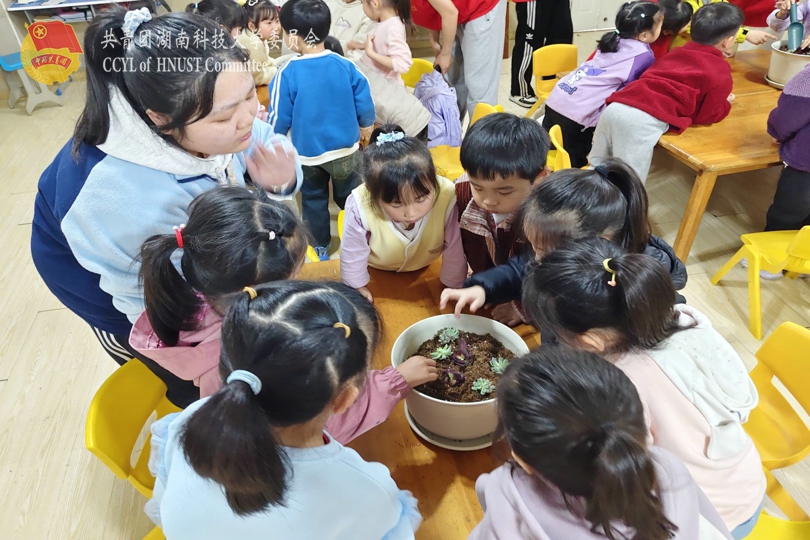 孩子们亲手栽种多肉.jpg